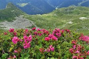 66 Vista sulla conca del Bivacco Zamboni e rif. Balicco